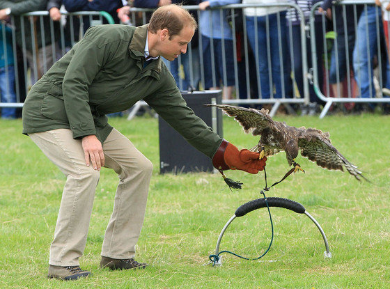 Prince William Prince William